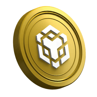 Halaman panduan trader pemula menampilkan koin kripto Binance BNB
